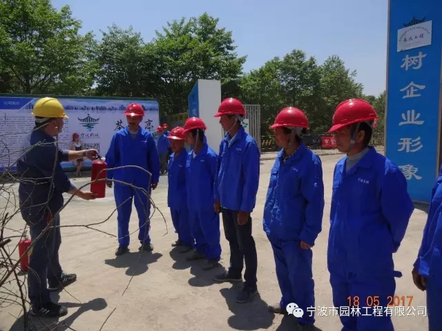 640.webp.jpg 640.webp.jpg