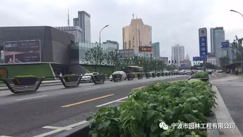 640.webp.jpg 640.webp.jpg