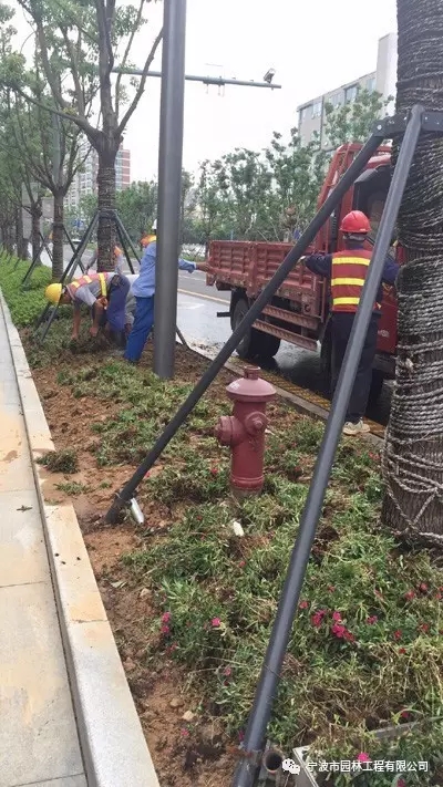 640.webp (4).jpg 640.webp (4).jpg