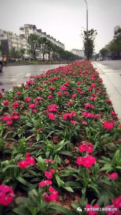 640.webp (5).jpg 640.webp (5).jpg