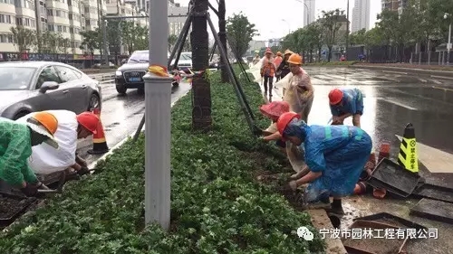 640.webp (3).jpg 640.webp (3).jpg