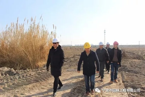 640.webp (1).jpg 640.webp (1).jpg