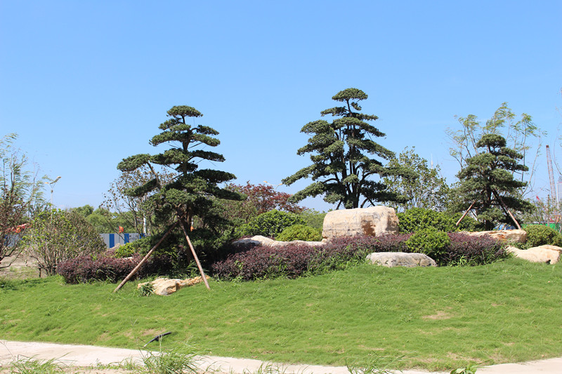 1_副本.jpg 1_副本.jpg