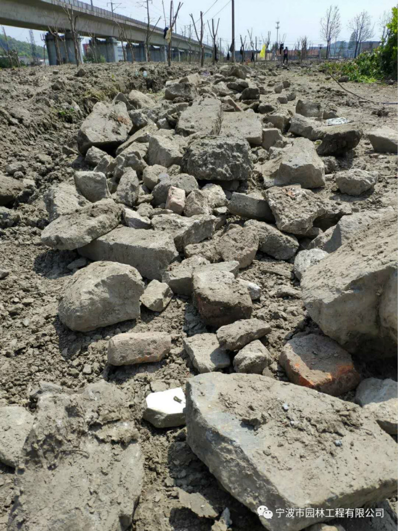 05_meitu_25.jpg 05_meitu_25.jpg