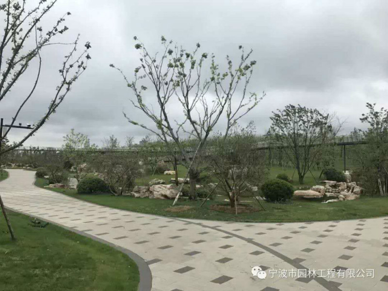 05_meitu_30.jpg 05_meitu_30.jpg