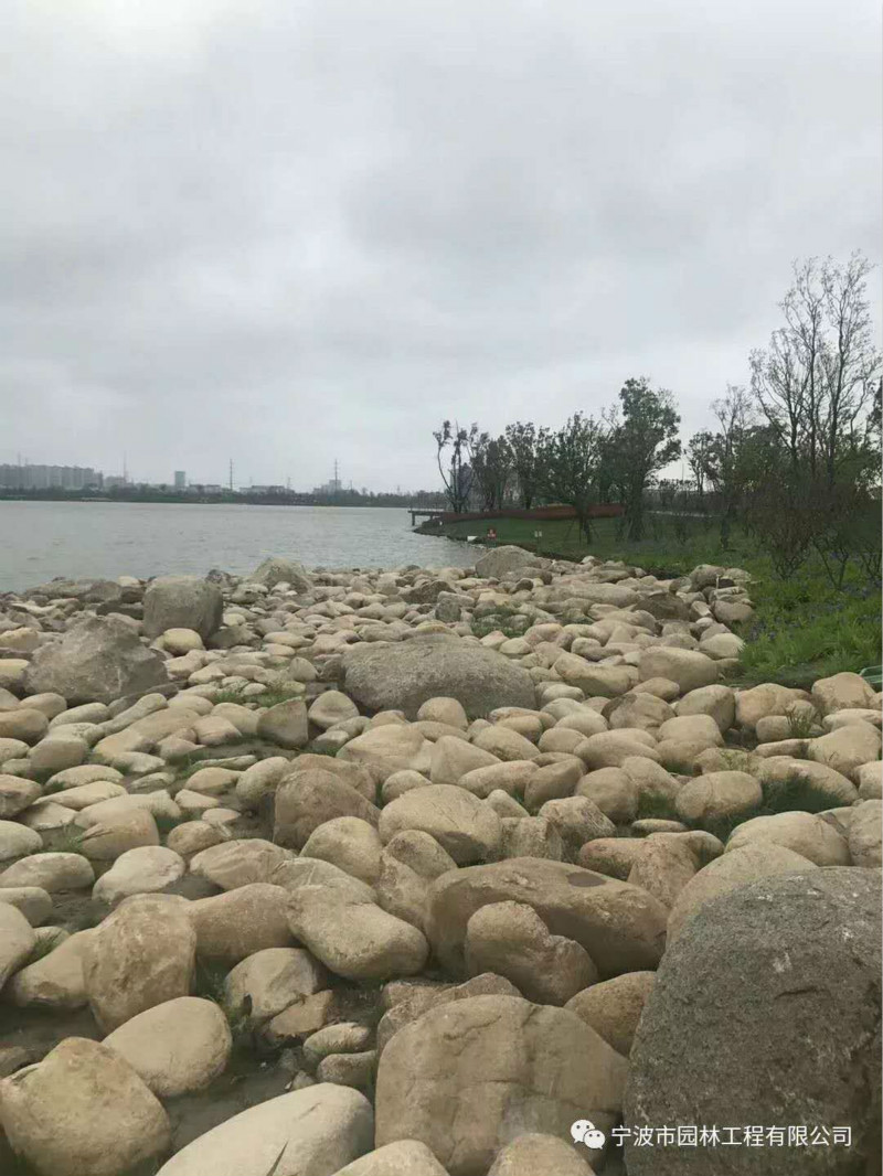 06_meitu_31.jpg 06_meitu_31.jpg