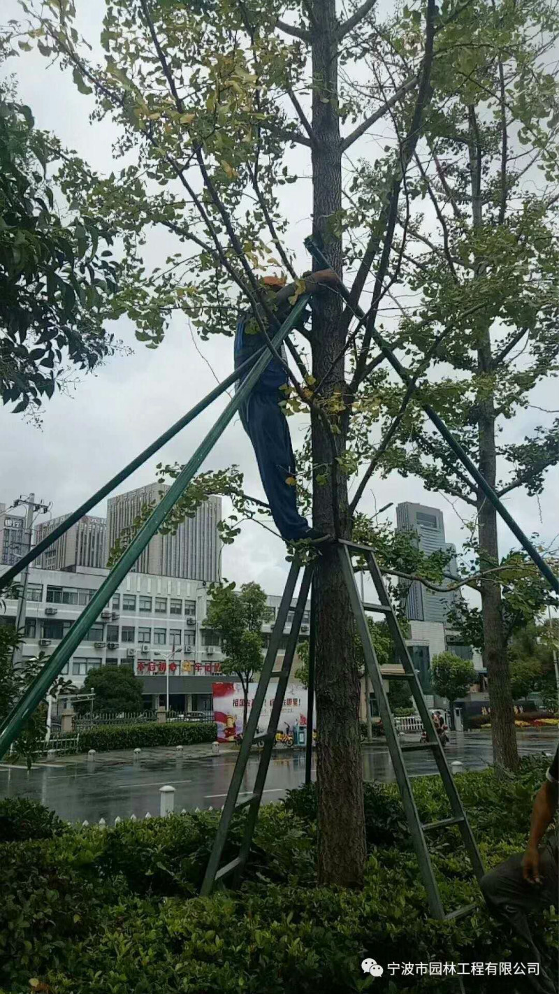 04_meitu_12.jpg 04_meitu_12.jpg