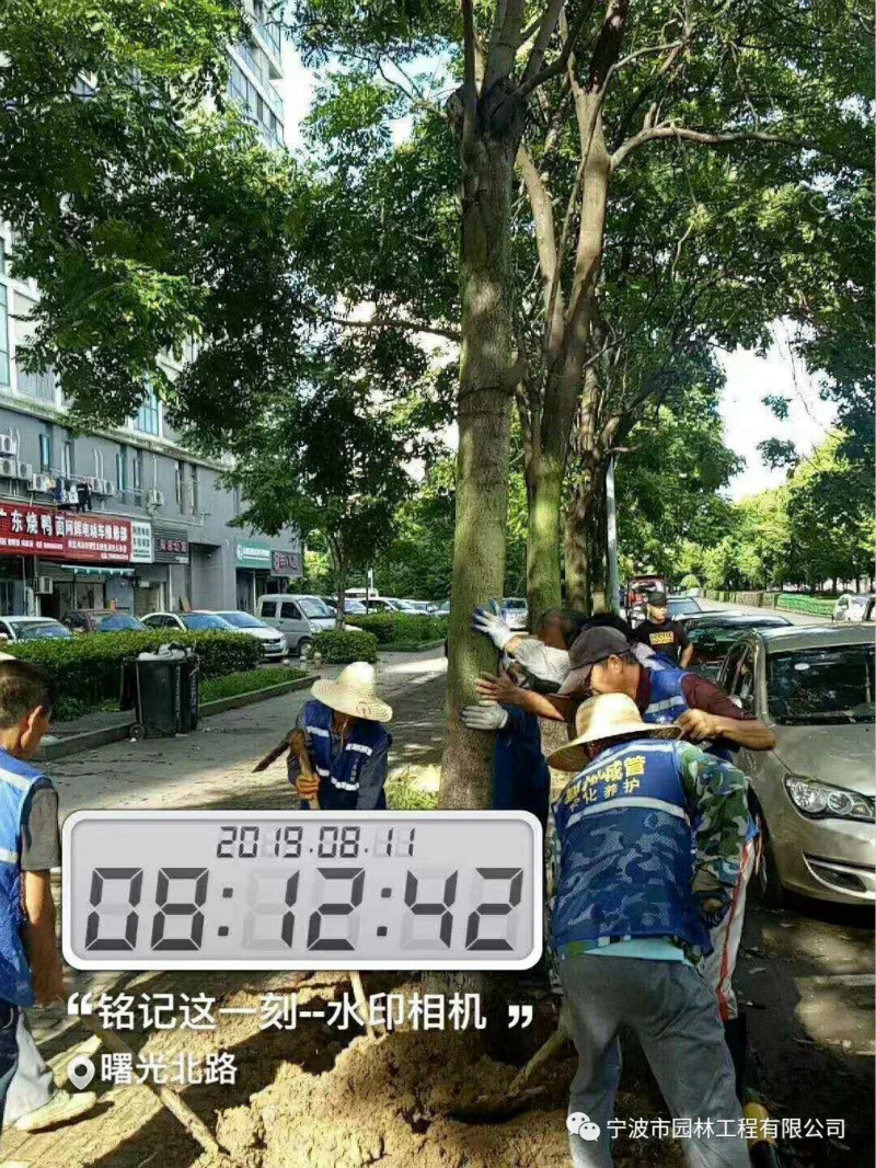 07_meitu_15.jpg 07_meitu_15.jpg