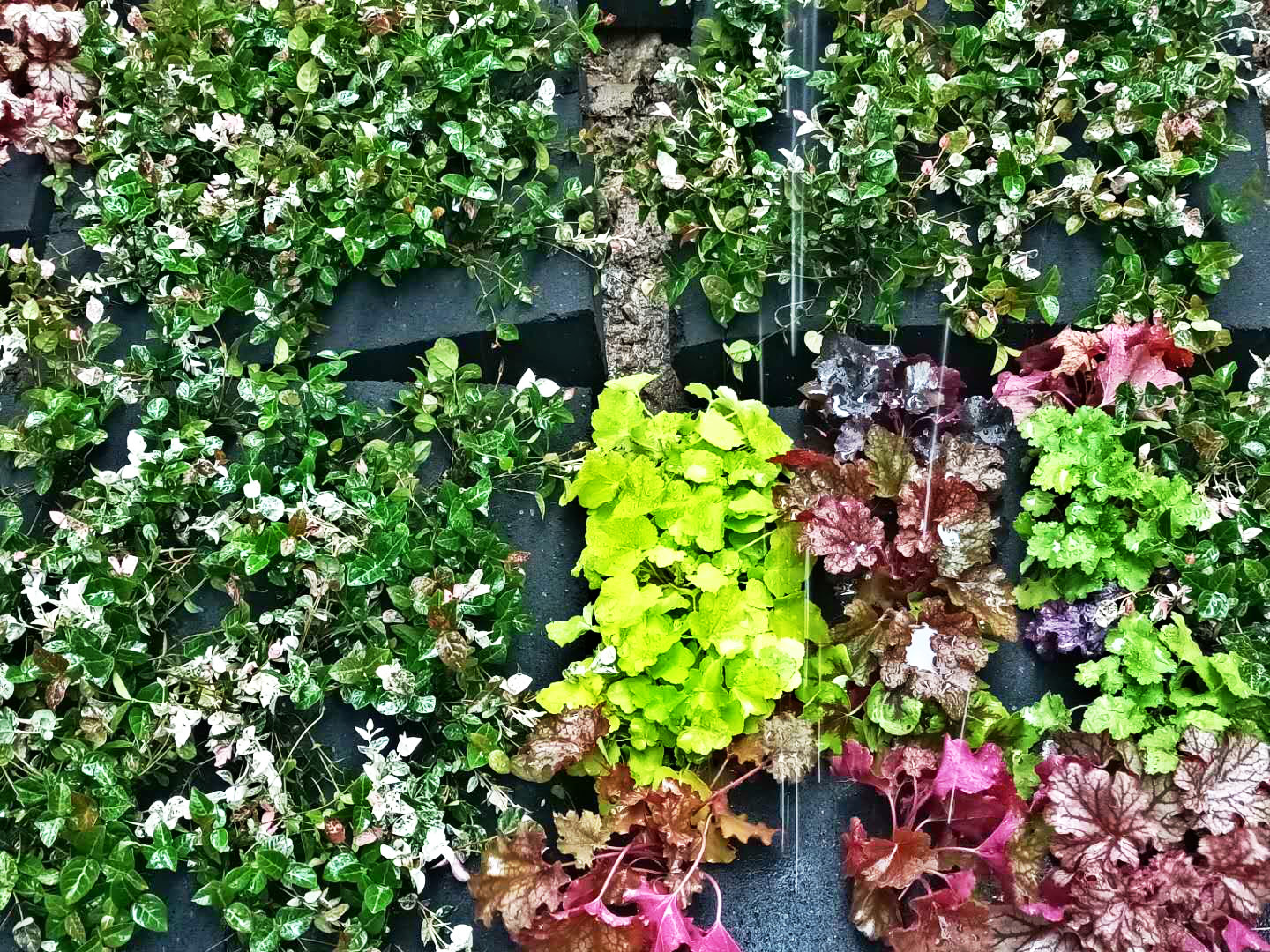 webwxgetmsgimg (4)_meitu_3.jpg webwxgetmsgimg (4)_meitu_3.jpg