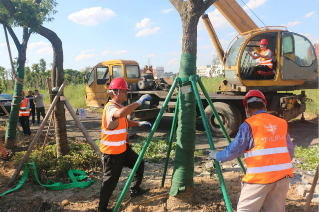 511038662_meitu_3.jpg 511038662_meitu_3.jpg