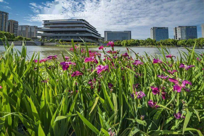 4_meitu_5.jpg 4_meitu_5.jpg