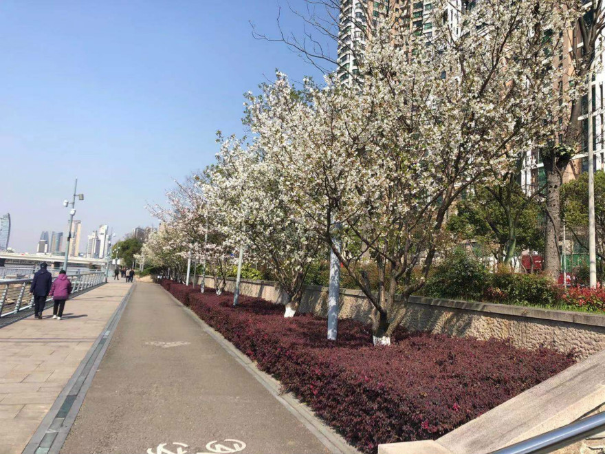 webwxgetmsgimg (4)_meitu_3.jpg webwxgetmsgimg (4)_meitu_3.jpg