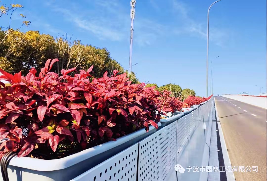 91656e5eeefa60db3cbf92ee7ee7c74.jpg 91656e5eeefa60db3cbf92ee7ee7c74.jpg