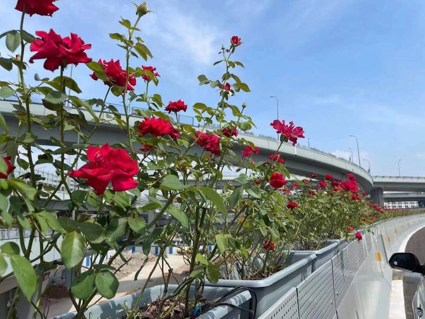 6976b859509f8113e0ba369ccfd7ea0.jpg 6976b859509f8113e0ba369ccfd7ea0.jpg