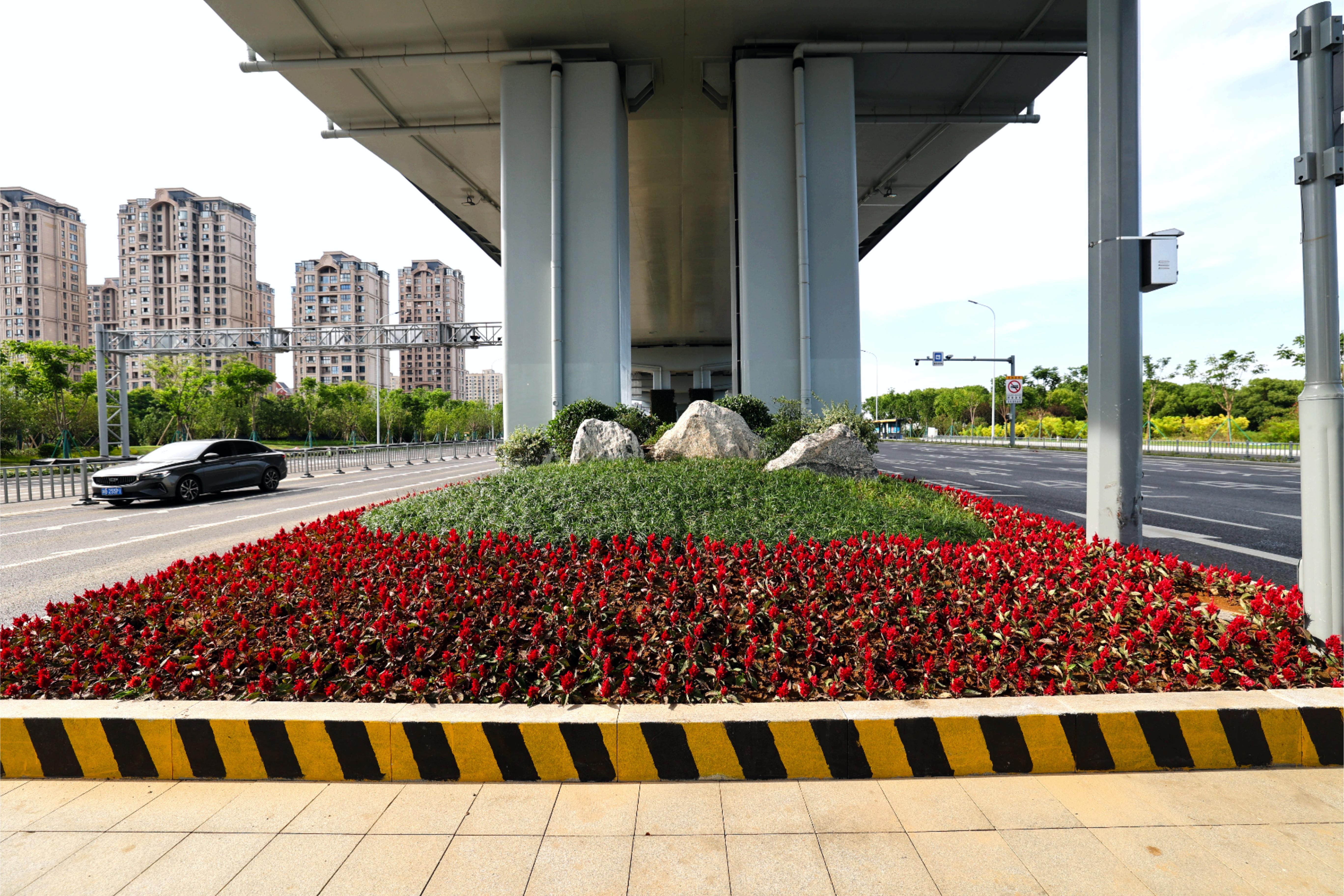 通過合理配置不同花色、葉色的植物，形成豐富的色彩層次和季相變化，提升道路景觀的觀賞性和趣味性.JPG